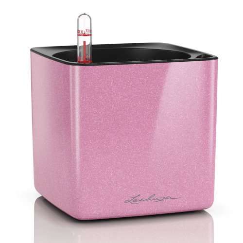 CUBE GLOSSY KISS