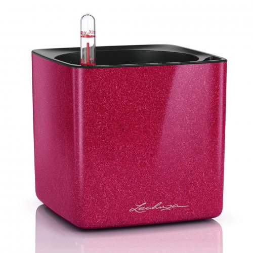 CUBE GLOSSY KISS