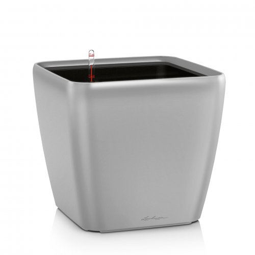 QUADRO LS