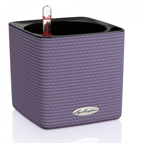 CUBE COLOR