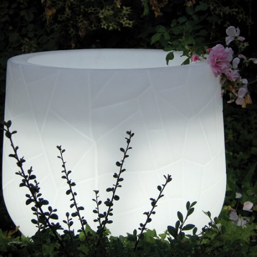 Memory Pot Light