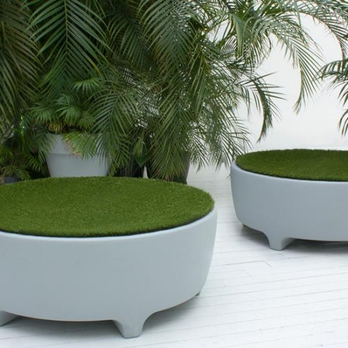 Oasis